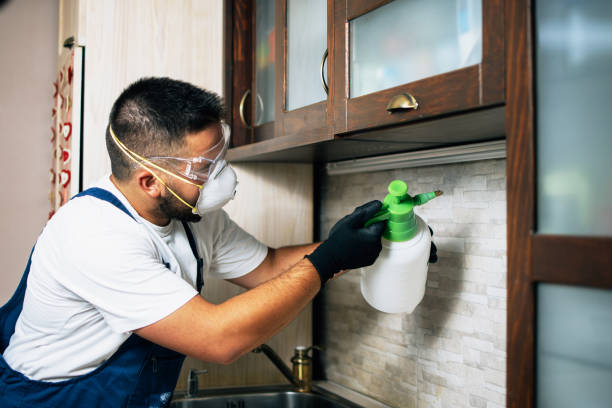 Best Wildlife Control Services  in Clifton Springs, NY