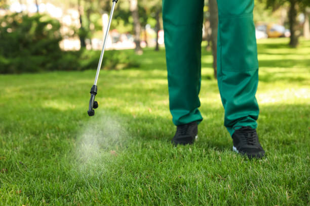 Best Rat Extermination Near Me  in Clifton Springs, NY