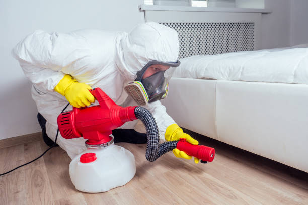 Best Best Pest Control Companies  in Clifton Springs, NY