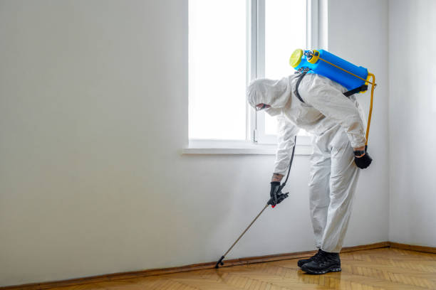 Best Local Pest Control Services  in Clifton Springs, NY