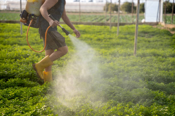 Best Residential Pest Control  in Clifton Springs, NY