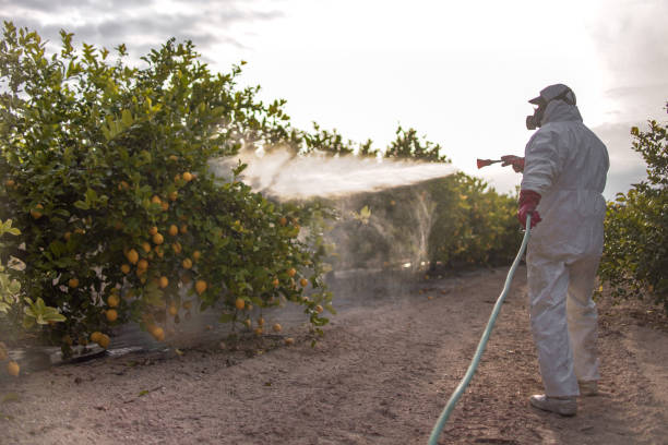 Best Pest Prevention Services  in Clifton Springs, NY