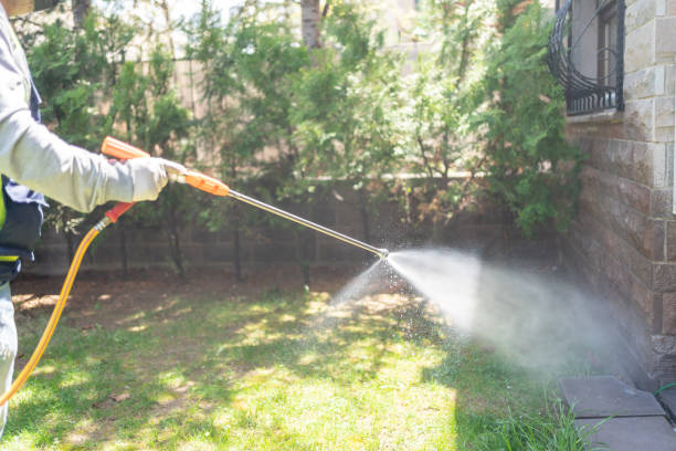 Best Local Pest Control Services  in Clifton Springs, NY