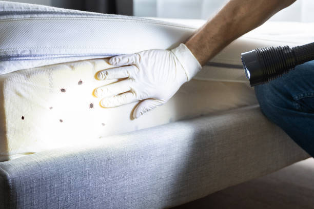 Best Exterminator Services  in Clifton Springs, NY
