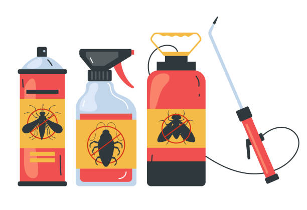 Best Spider Control Near Me  in Clifton Springs, NY