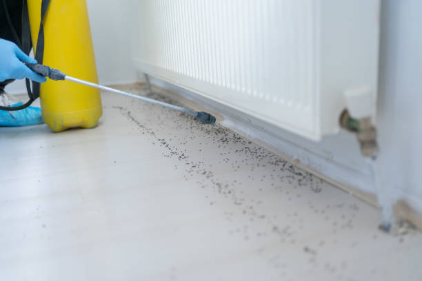 Best Cockroach Control Services  in Clifton Springs, NY