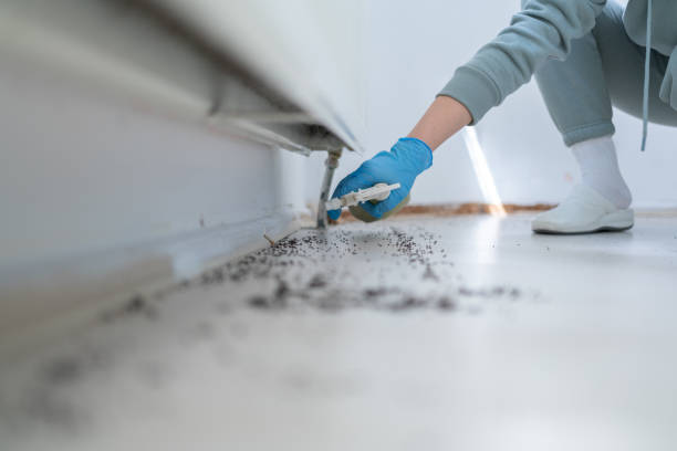 Clifton Springs, NY Pest Control Company