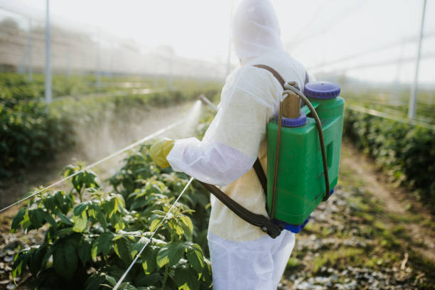 Best Ant Control Services  in Clifton Springs, NY